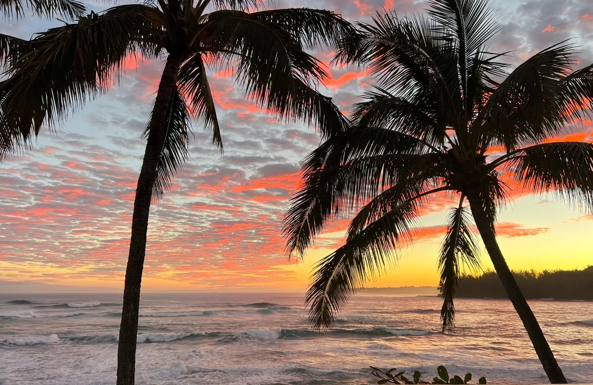 Palmeras enmarcan una puesta de sol sobre el mar, bajo un cielo con nubes rosadas.