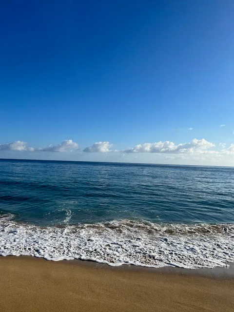 Una playa de arena se encuentra con aguas azules bajo un cielo despejado.