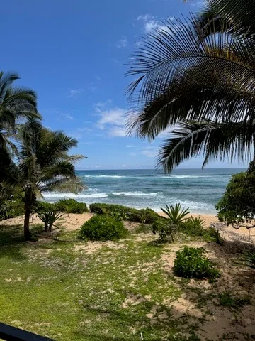 Una playa tropical con palmeras, arbustos bajos y olas junto a la orilla.