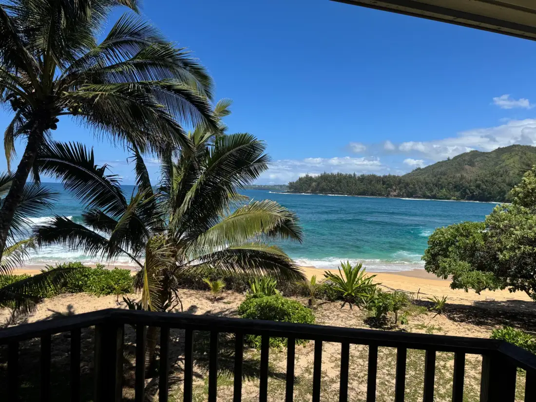 Una playa tropical y una bahía turquesa se ven detrás de palmeras y una baranda.