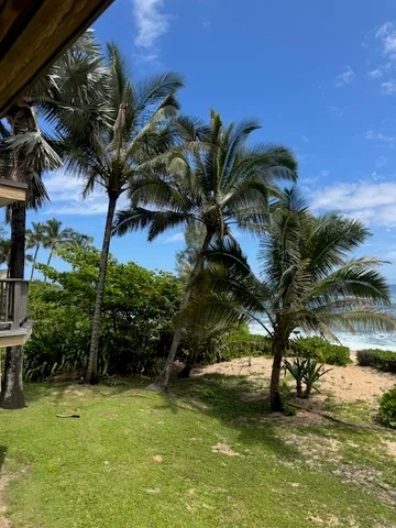Un jardín tropical con césped y palmeras junto a una playa de arena.