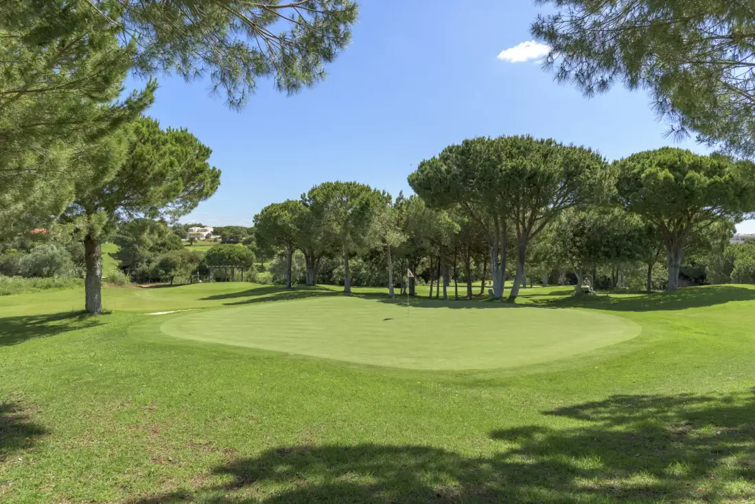 A broad grassy landscape with scattered trees under a clear blue sky.