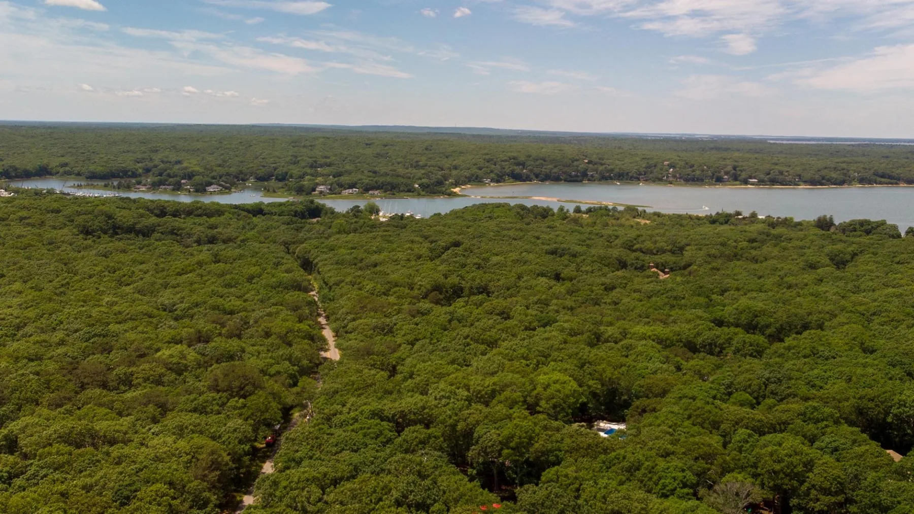 Vista aérea de un bosque frondoso y verde, con un río serpenteando a lo lejos.