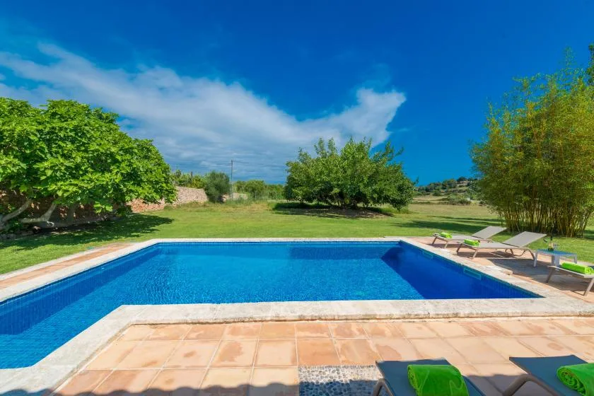 A swimming pool with a paved deck sits in a sunny garden.