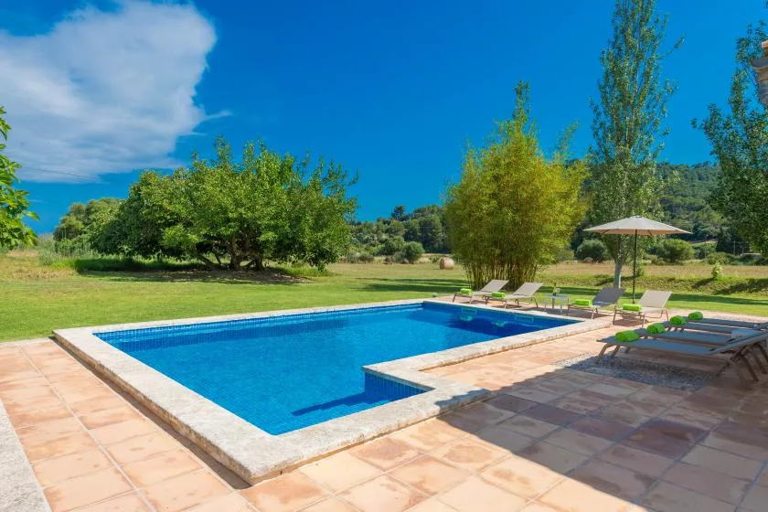 A swimming pool sits beside a paved patio with loungers and an umbrella.
