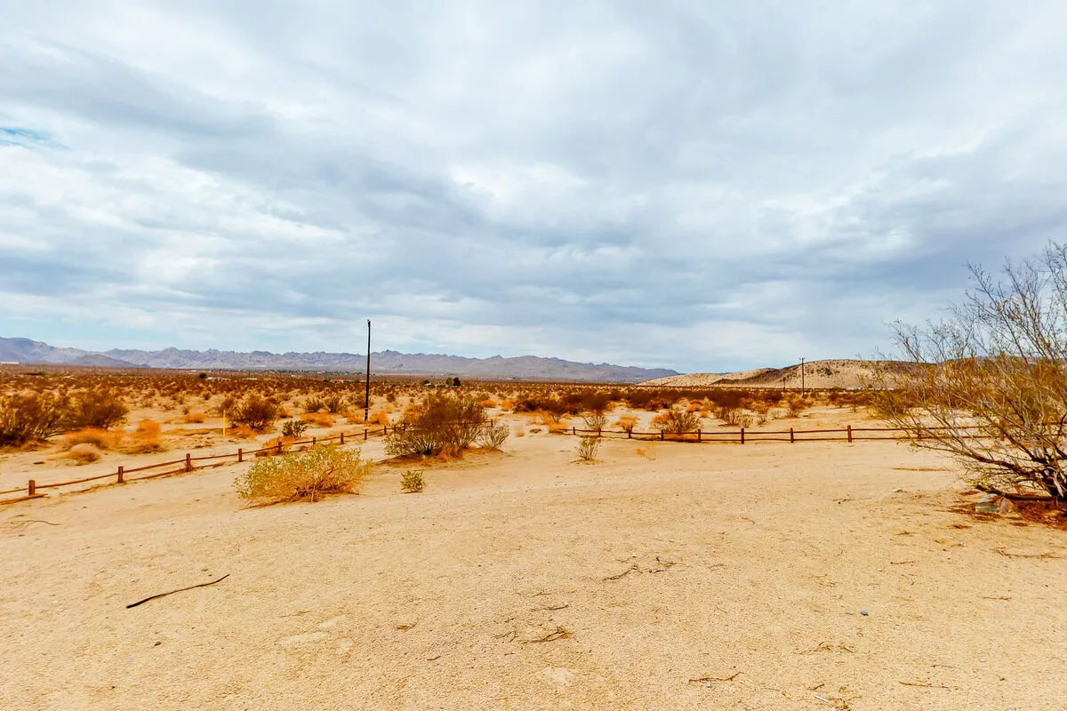 Mojave Magic