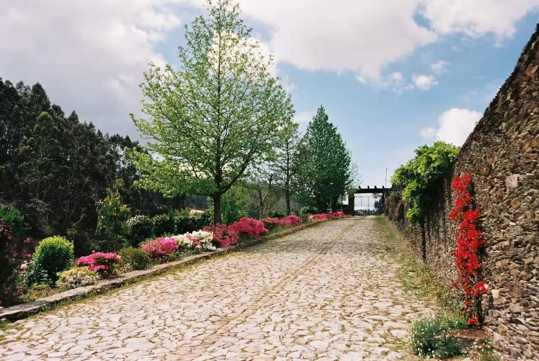 Foto de la propiedad Quinta dos Moinhos