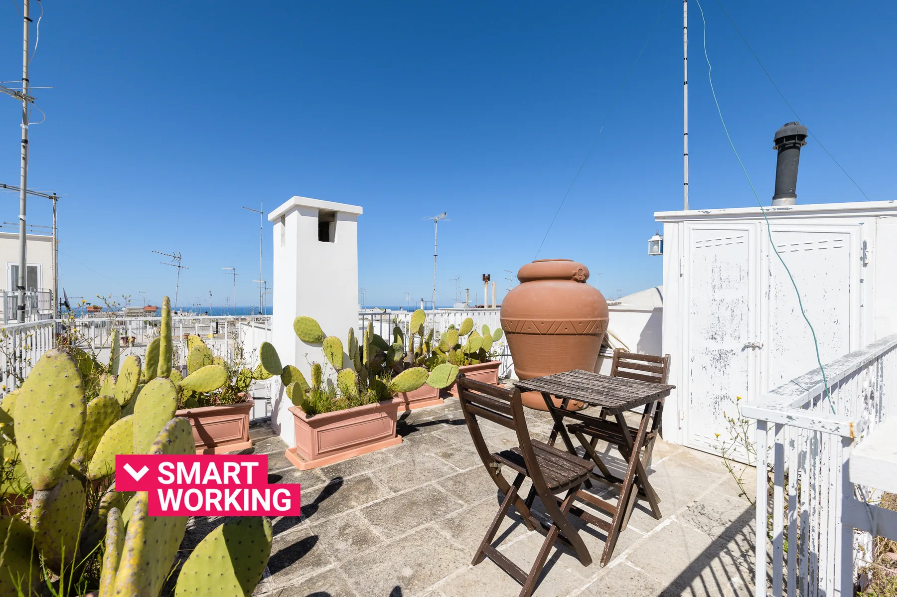 A sunny rooftop terrace with potted cacti, a table, and chairs.