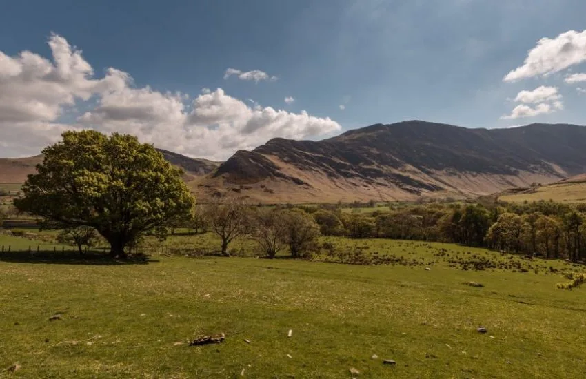 Vista de la granja y del valle de Newlands