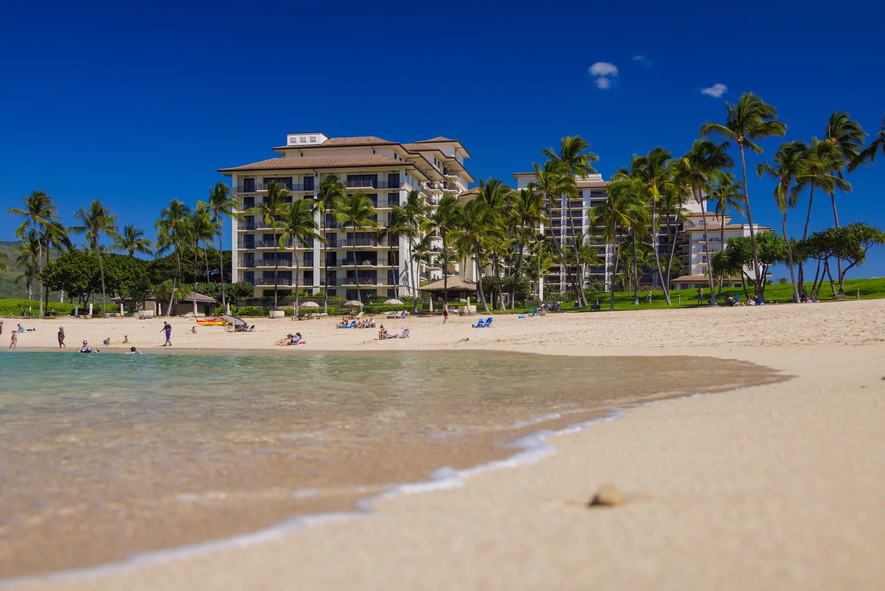 Una playa de arena con agua poco profunda, palmeras y edificios junto a la costa.