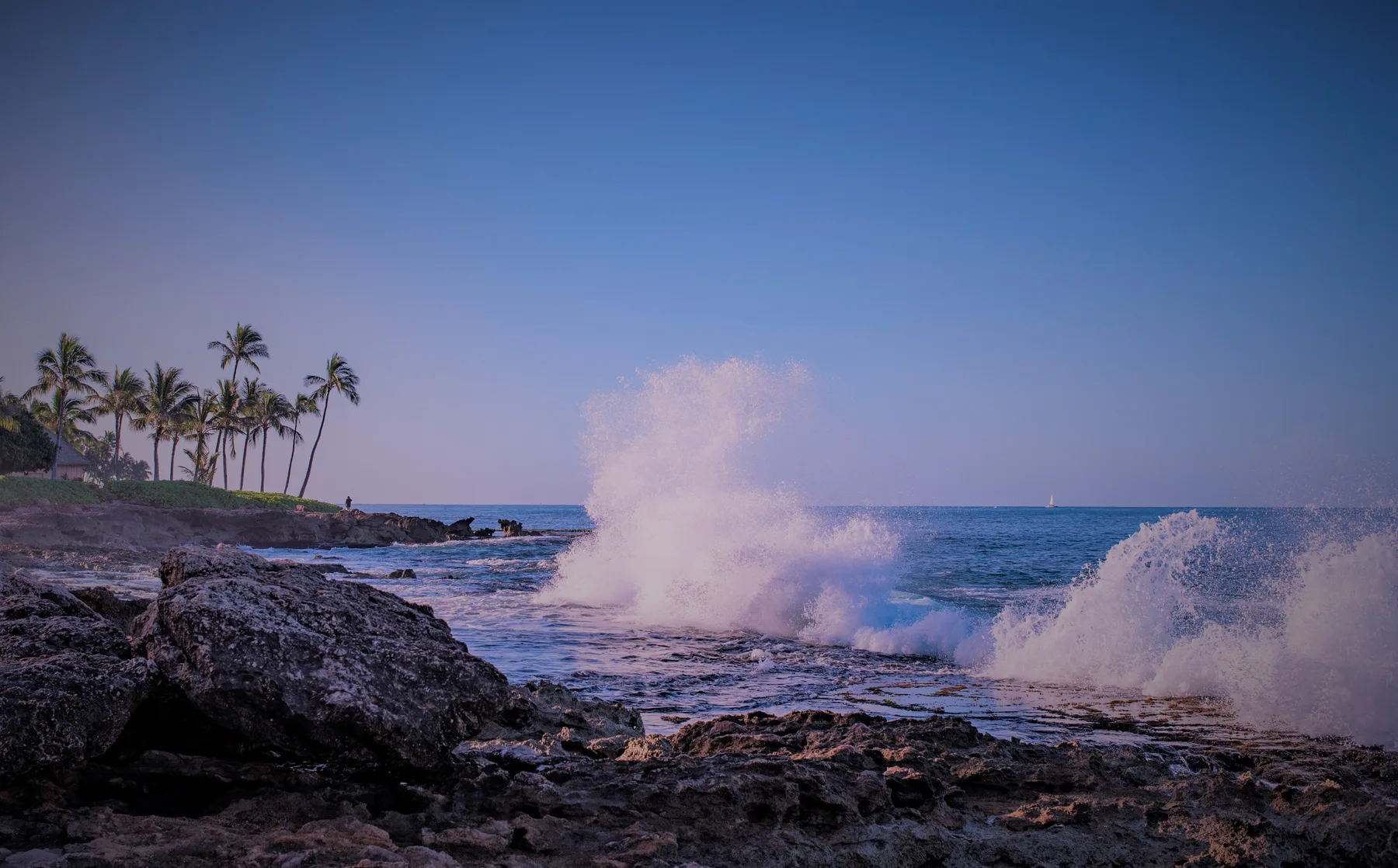 Las olas rompen contra una costa rocosa bajo una línea de palmeras.