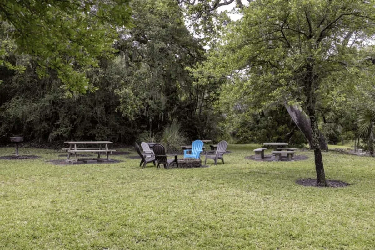 A grassy outdoor seating area with picnic tables and chairs beneath trees.