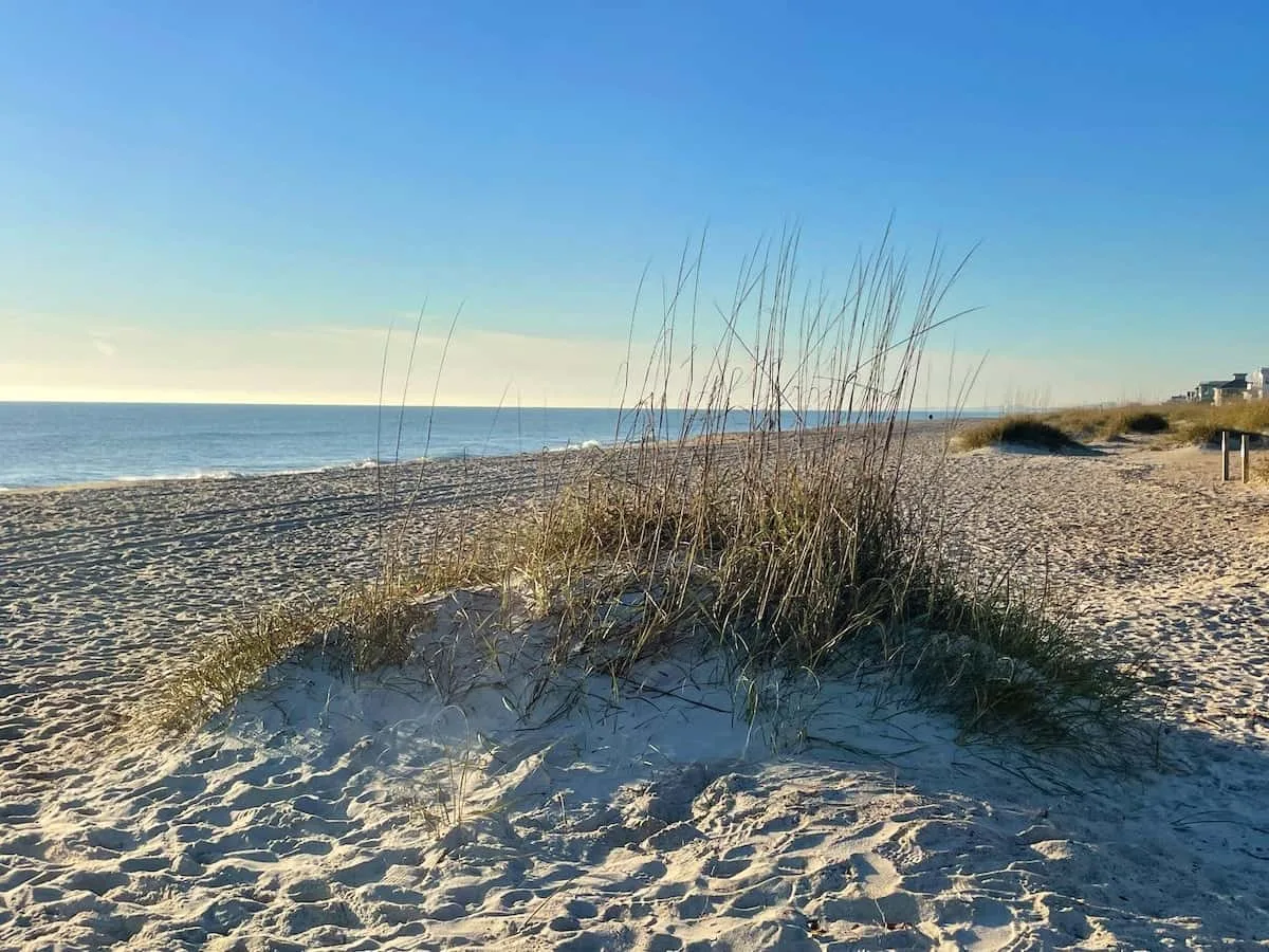 A sandy beach with dune grass in the foreground and the ocean beyond.