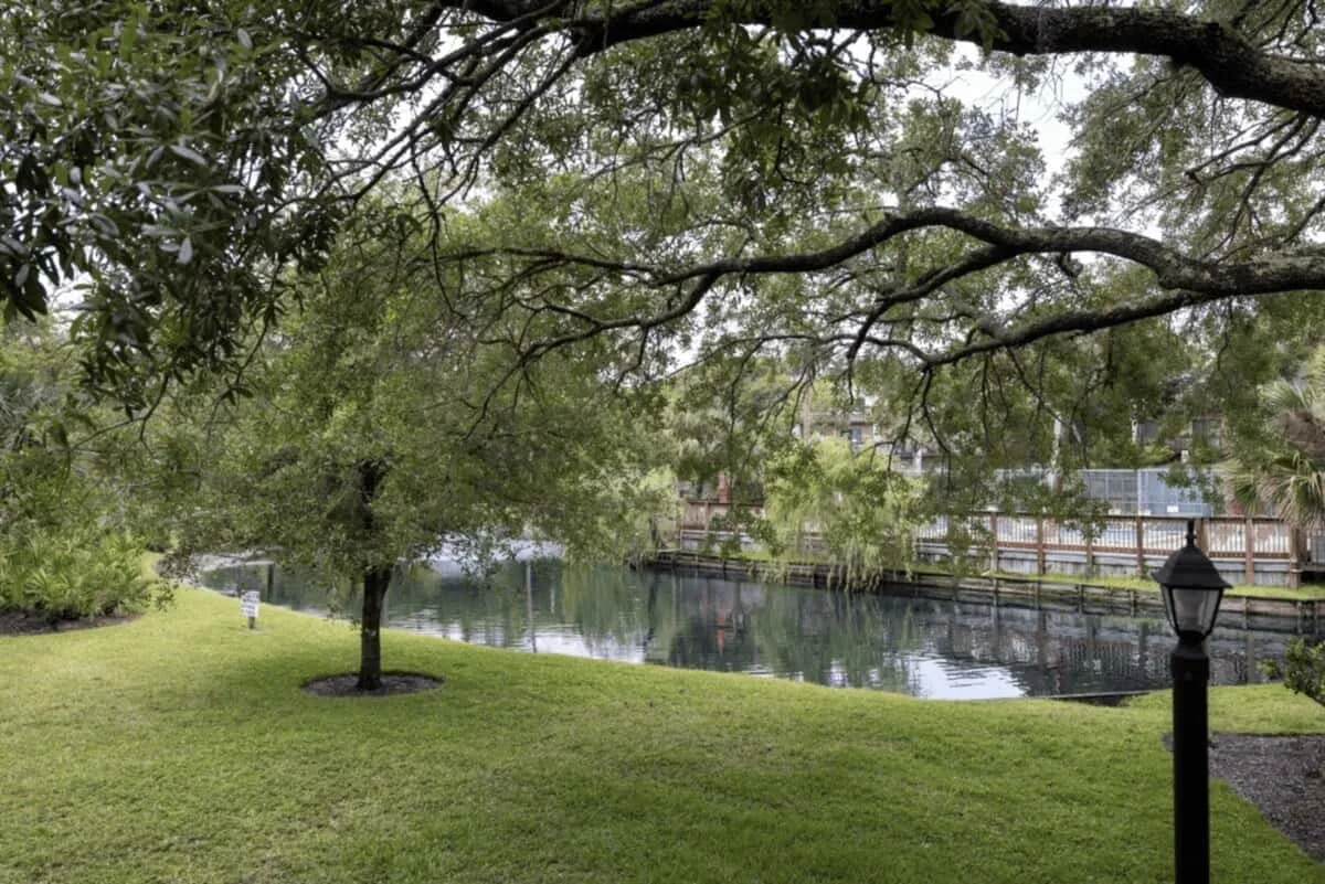 A grassy bank beneath a broad tree overlooks a calm waterway.
