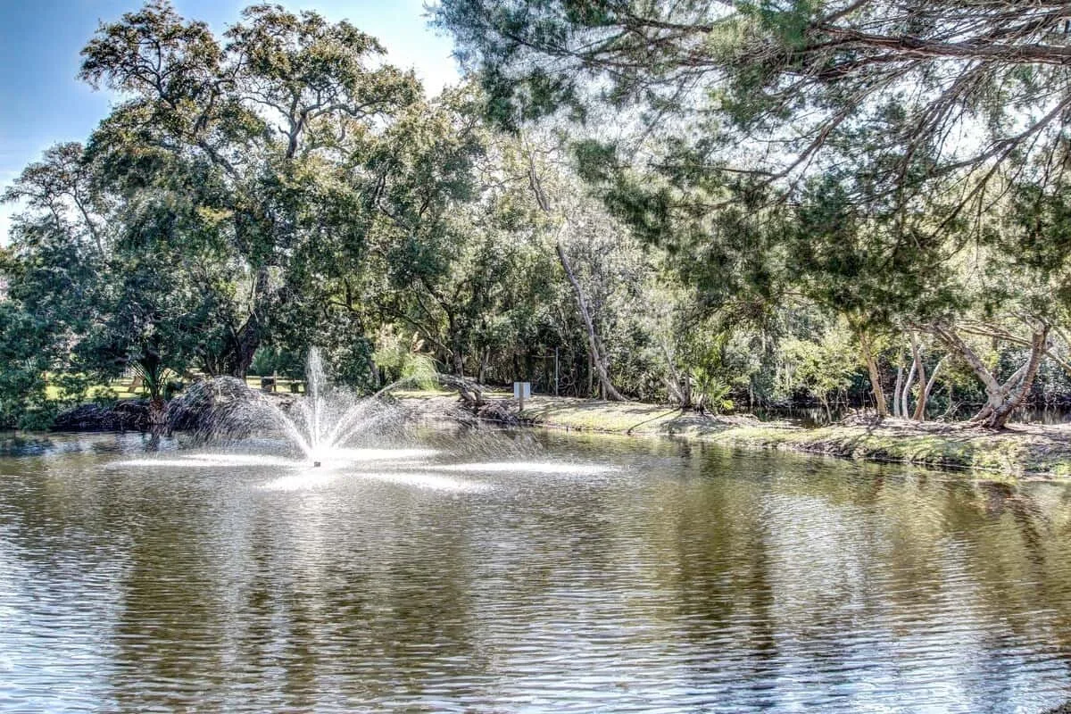 A pond with a fountain spraying water, surrounded by trees.