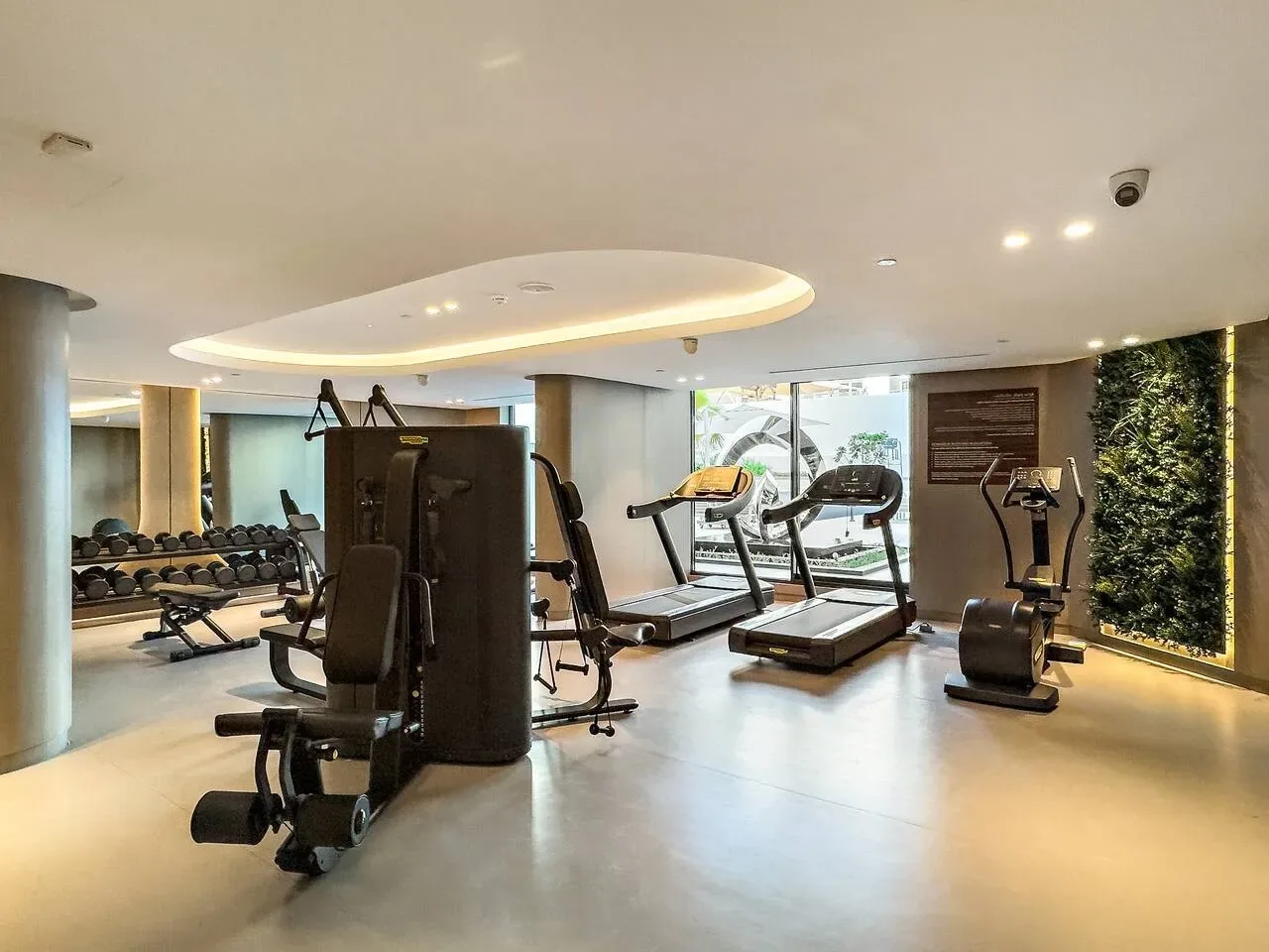 Una sala de ejercicio con máquinas, cintas de correr y una fila de pesas.