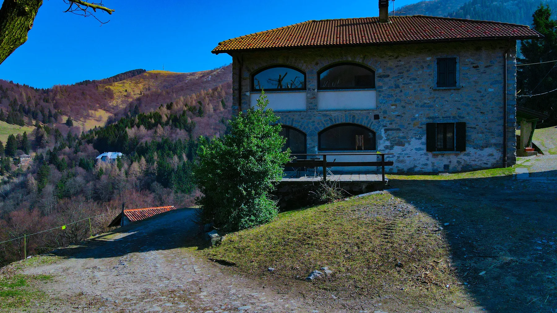 Il Larice