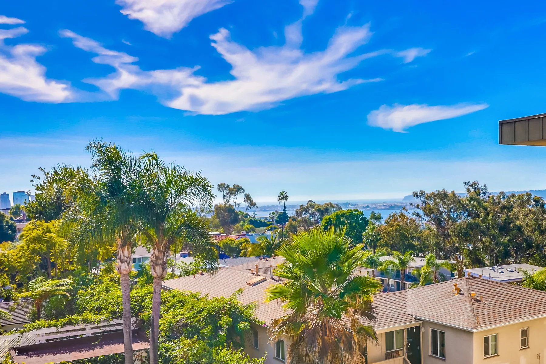 A sunny view over palm trees and rooftops toward the distant water.