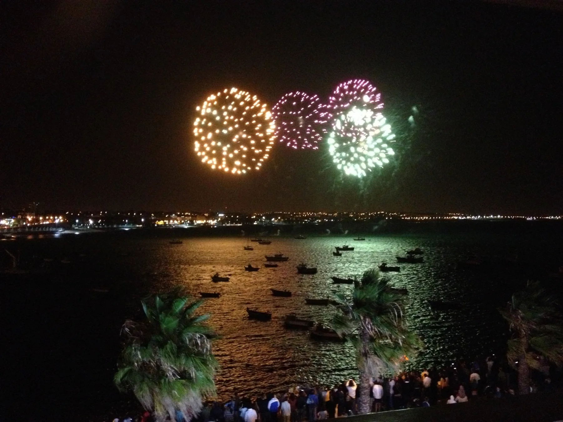 Colorful fireworks light up the night sky above a waterfront crowd.