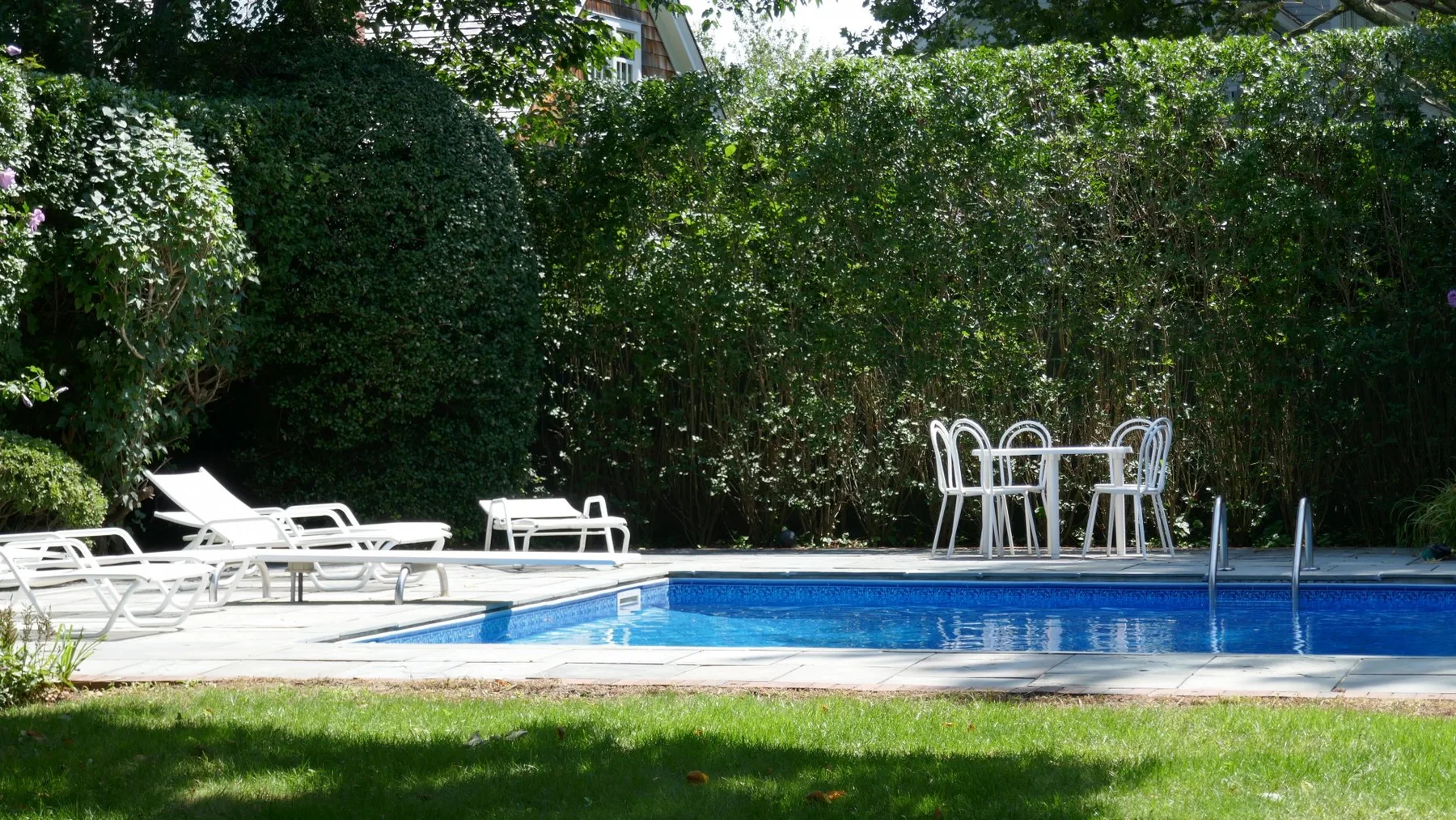 Una piscina rodeada de vegetación, con asientos reclinables y una mesa cerca.