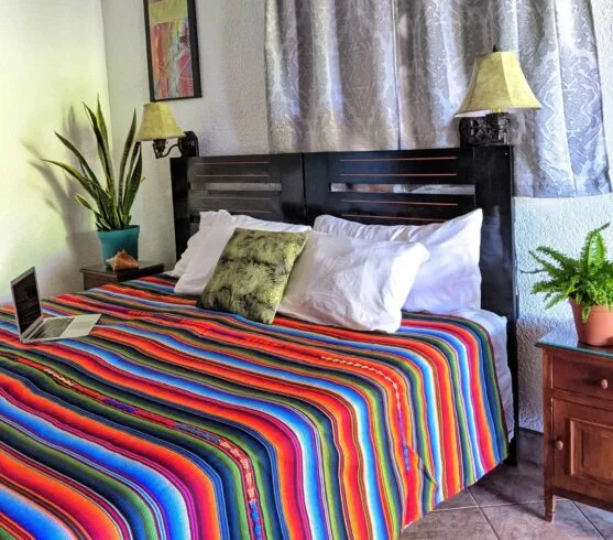 Macaw bedroom