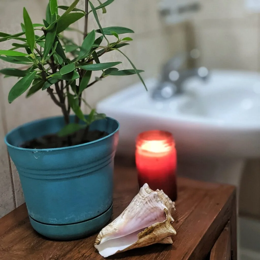 Toucan bathroom