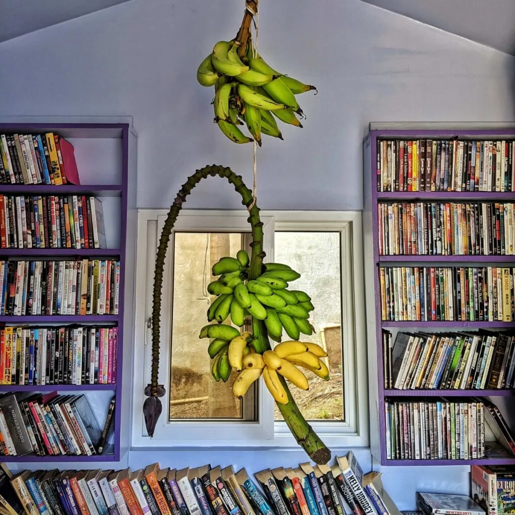 Banana DVD room