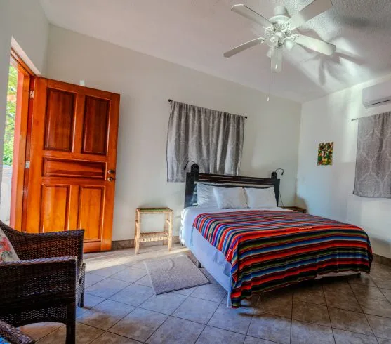 Toucan Suite