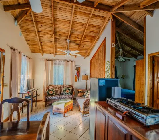 Gecko Casita