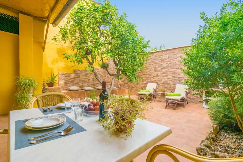 A sunny outdoor patio with a dining table and leafy trees.
