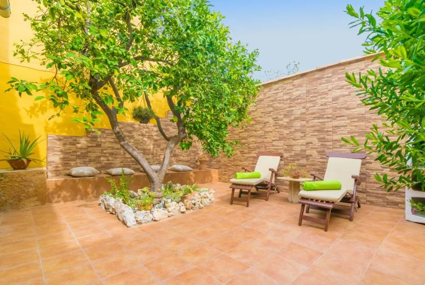A tiled outdoor patio with lounge seating beneath leafy trees.