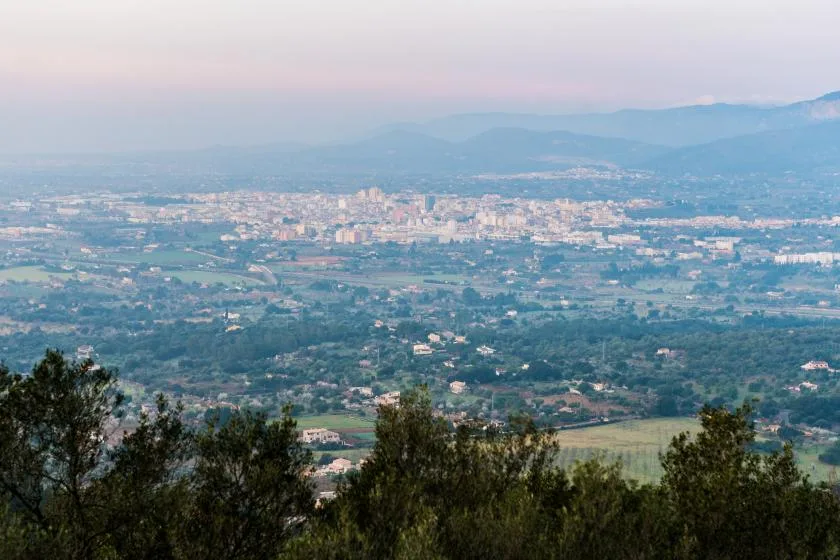 A broad valley with a town and distant mountains beyond foreground trees.