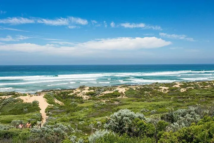 Paisaje costero con olas del océano más allá de senderos arenosos y vegetación verde.