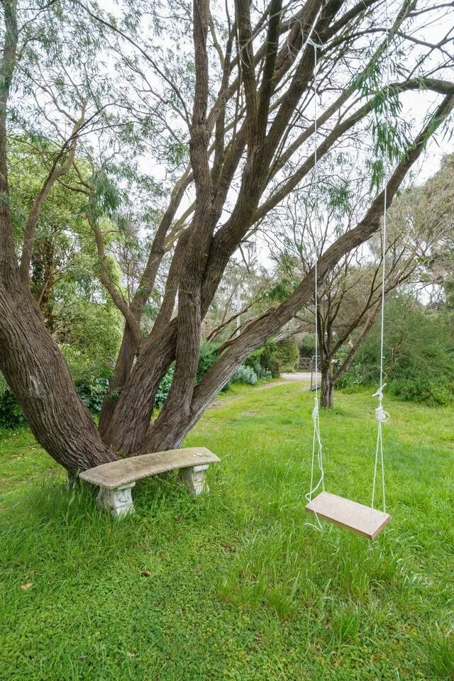 El frondoso patio trasero cuenta con un columpio en un árbol y un banco para disfrutar del aire libre.