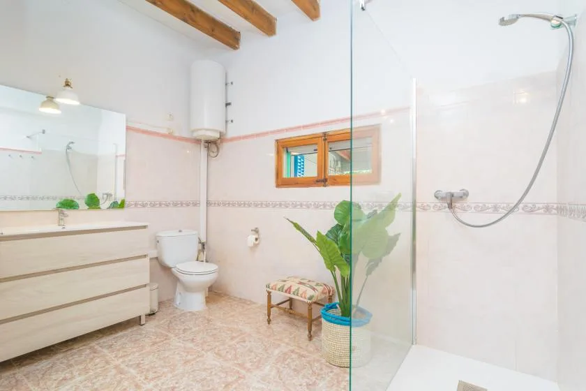 A bright bathroom with a glass shower, vanity, and potted plant.