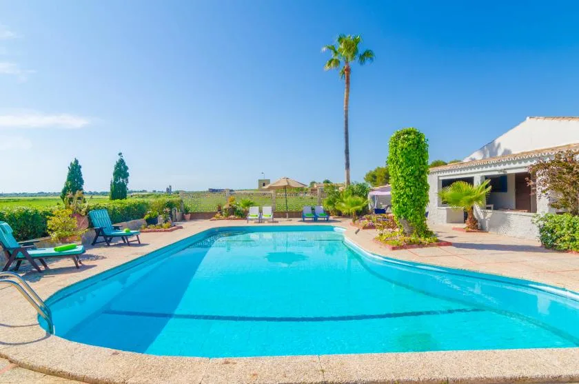 An outdoor swimming pool surrounded by lounge seating and greenery.