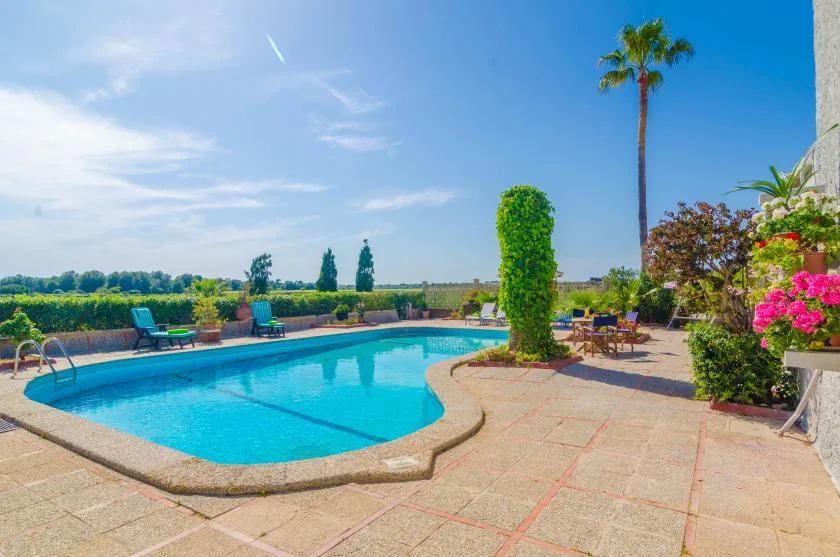 An outdoor swimming pool sits beside a paved patio with garden plants.