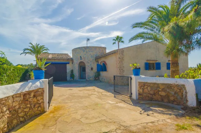 A sunlit stone building entrance opens onto a paved courtyard with palm trees.