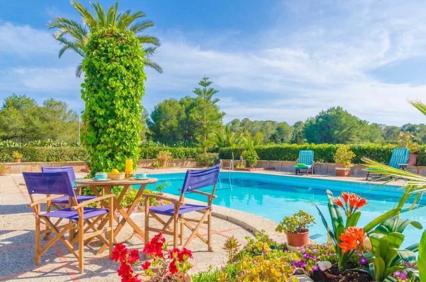 An outdoor swimming pool is surrounded by seating and flowering plants.