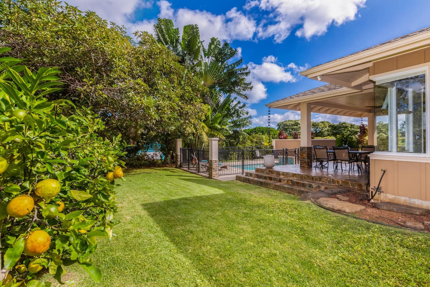 Un patio ajardinado con césped, un cítrico y una terraza cubierta junto a una piscina.
