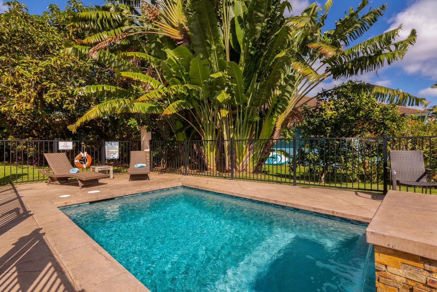 Una piscina al aire libre está junto a un patio cercado, rodeada de plantas tropicales.