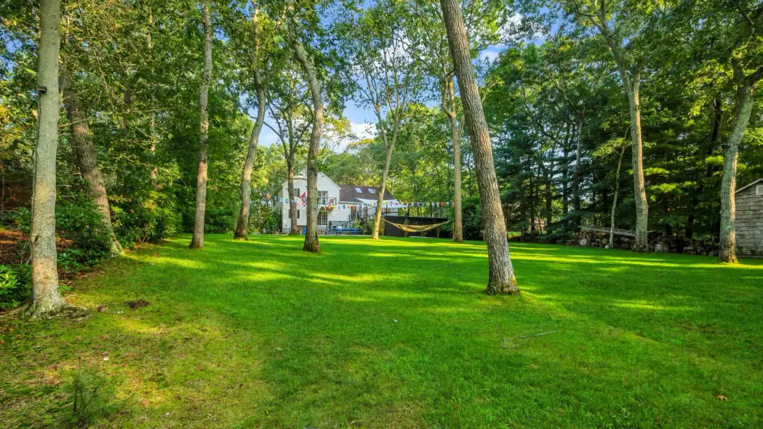 A wooded lawn with a house visible among the trees.
