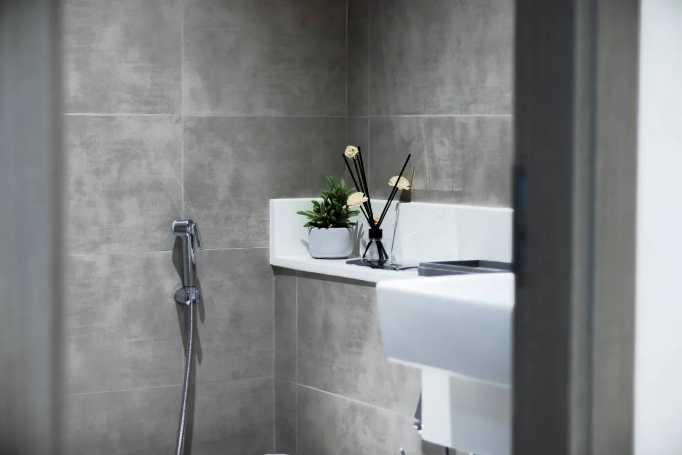 Baño con una ducha de pared y una pequeña planta sobre una repisa.