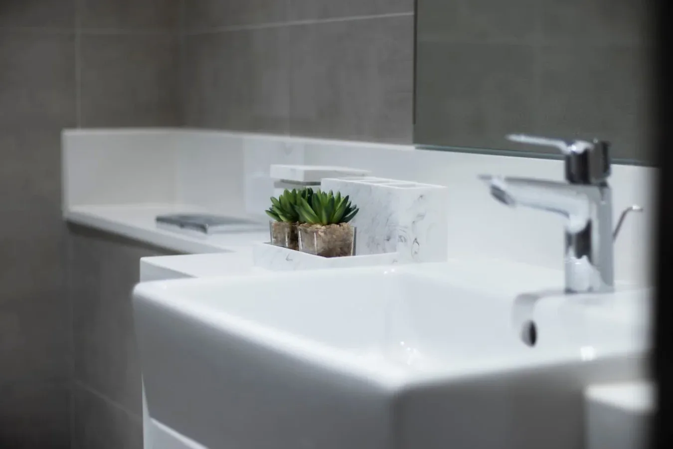 Un lavabo de baño con una pequeña planta en maceta sobre la encimera.