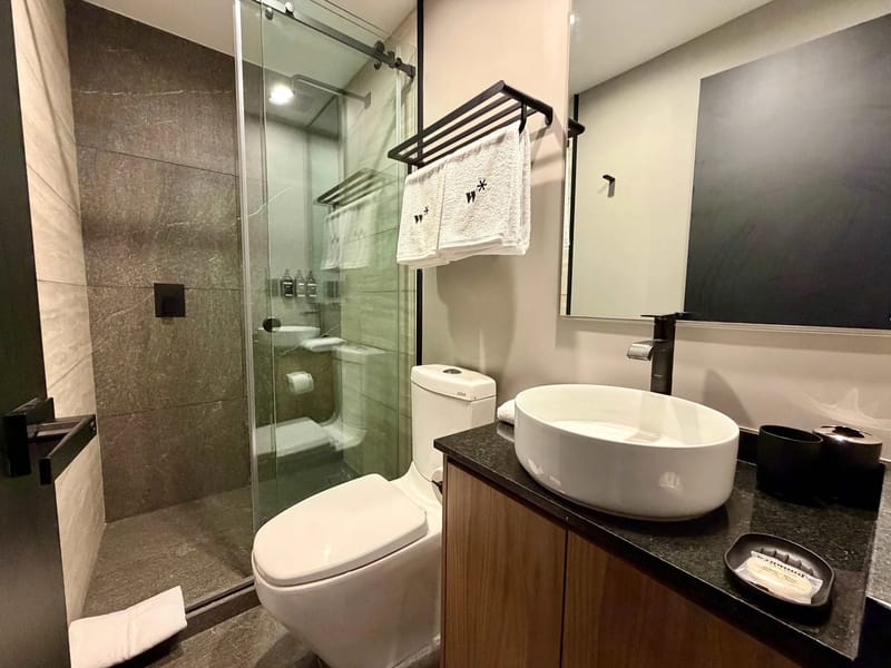Modern & Cozy 1BR w/ Terrace in Tabacalera
