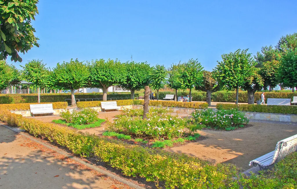 Un jardín ajardinado con hileras de árboles, macizos de flores y bancos junto a un sendero.