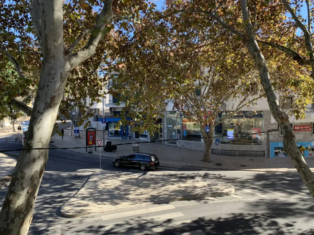 Una calle arbolada con escaparates y un coche aparcado.