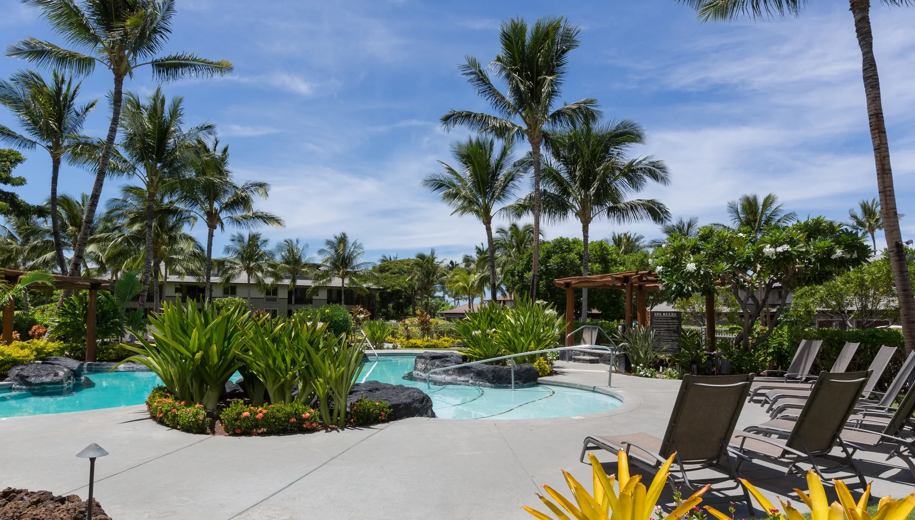 Una zona de piscina tropical con palmeras y tumbonas.
