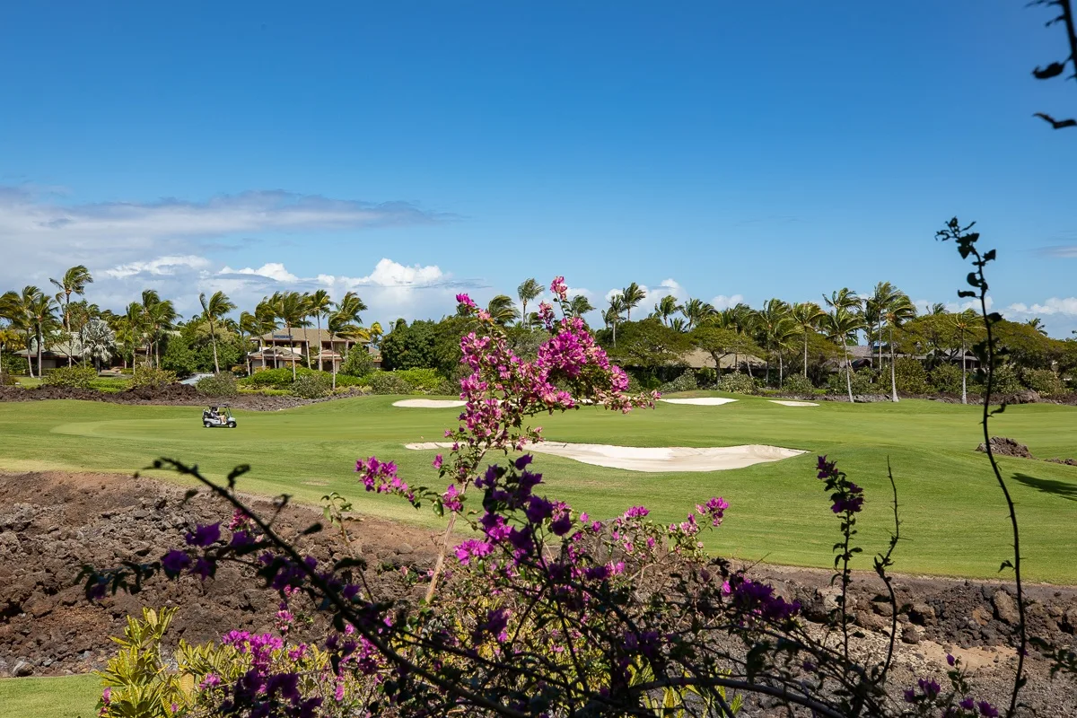 Un campo de golf con calles verdes, bunkers de arena y arbustos en flor en primer plano.