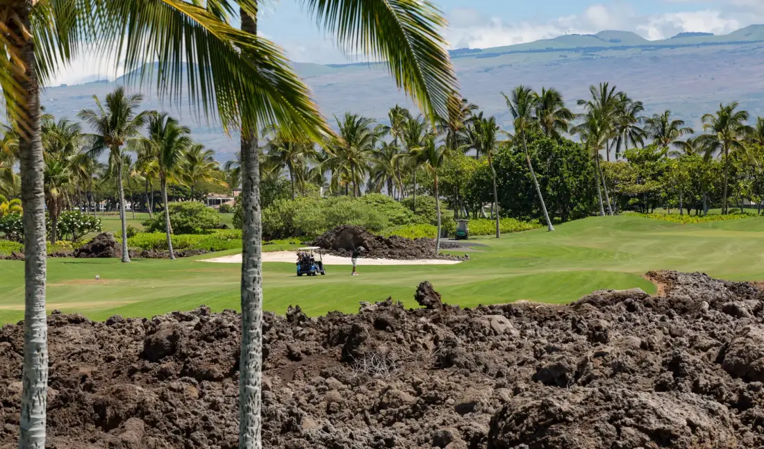 Un campo de golf tropical con palmeras y rocas en primer plano.